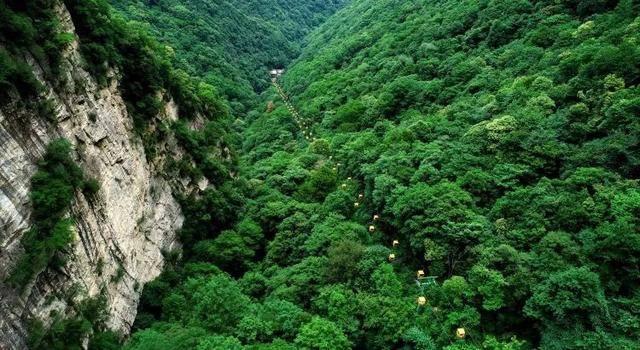 你知道桂圆干怎么吃最好呢？